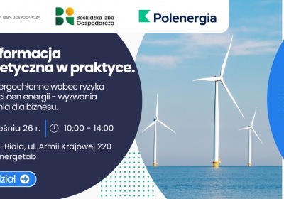 Przedstawiamy ranking branż, które dotkliwie odczują zmienność cen energii